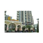 �����Ќ����^������� ʥ��ɳ�E�@